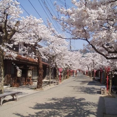 岡山県 新庄村